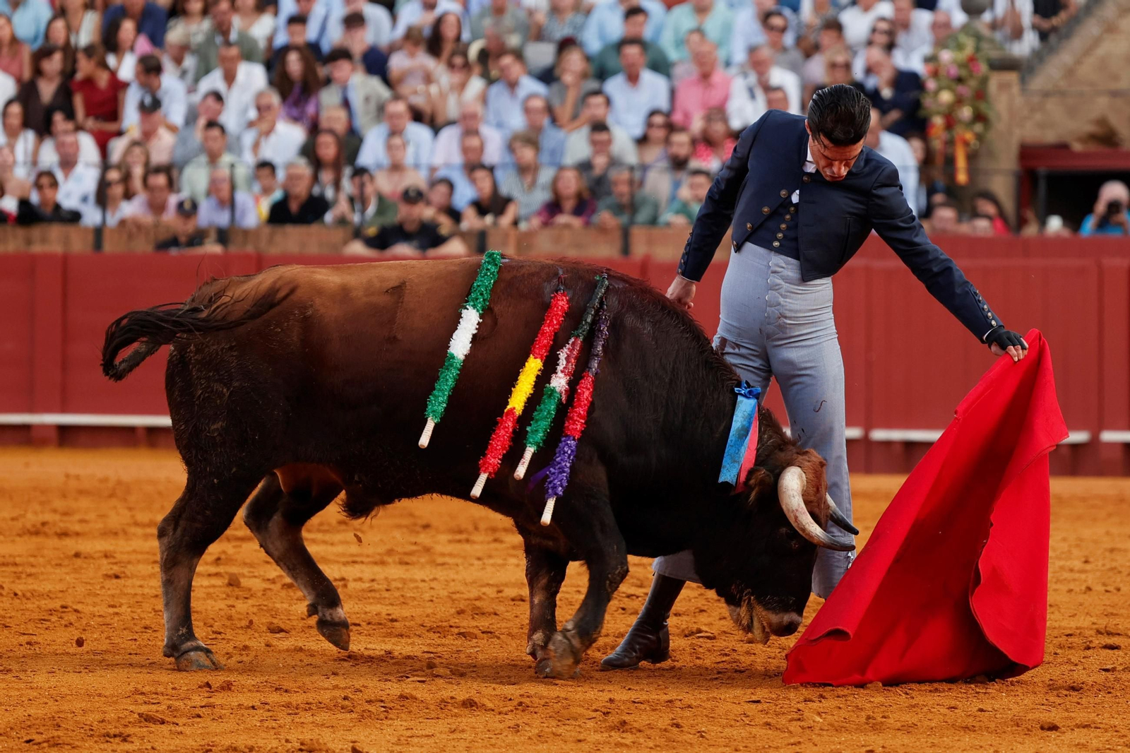 Redondo ajustado de Alejandro Talavante al toro de Domingo Hernández de nombre ‘Galeono’