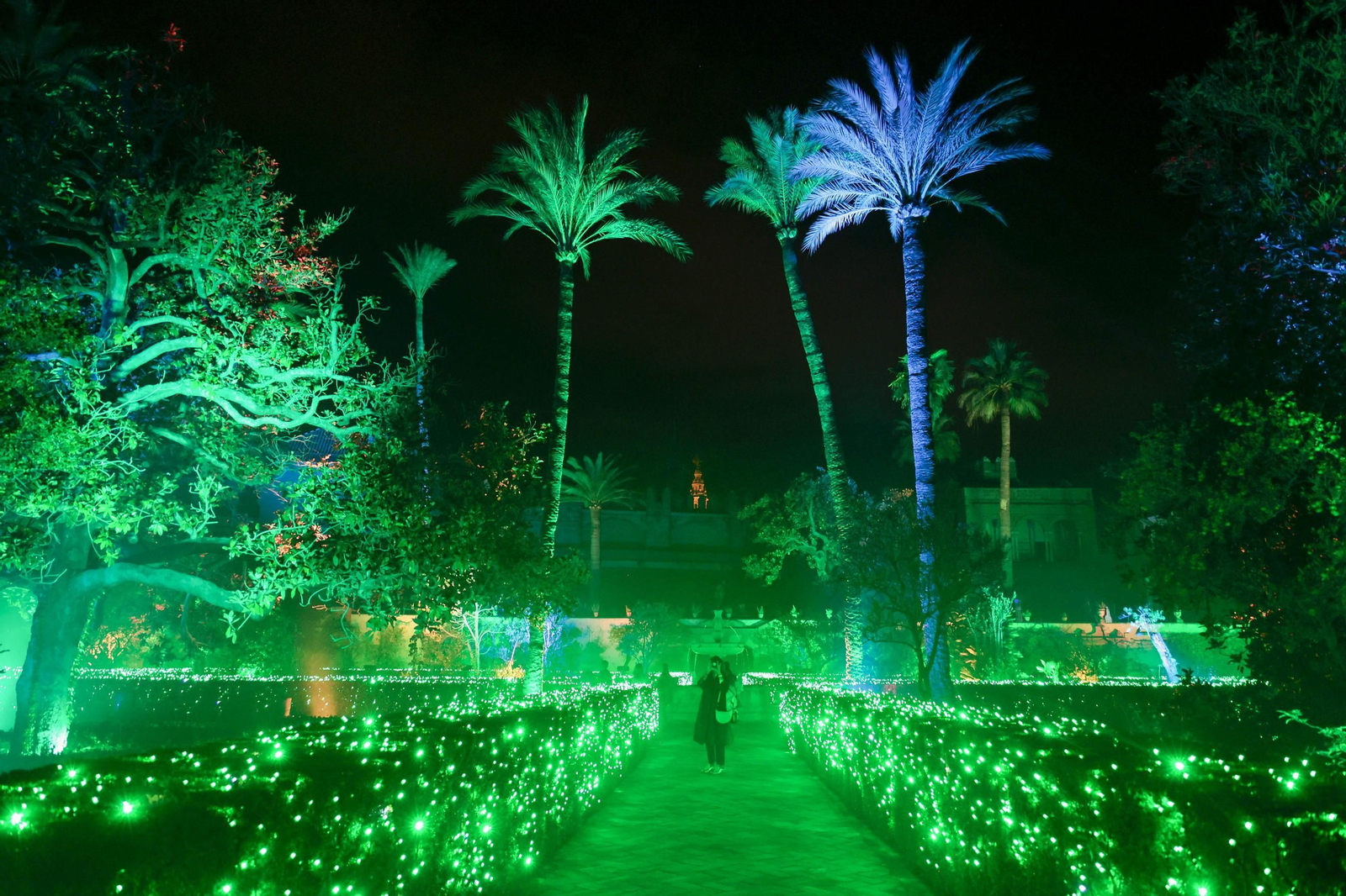 Las imágenes de un paseo por Naturaleza Encendida