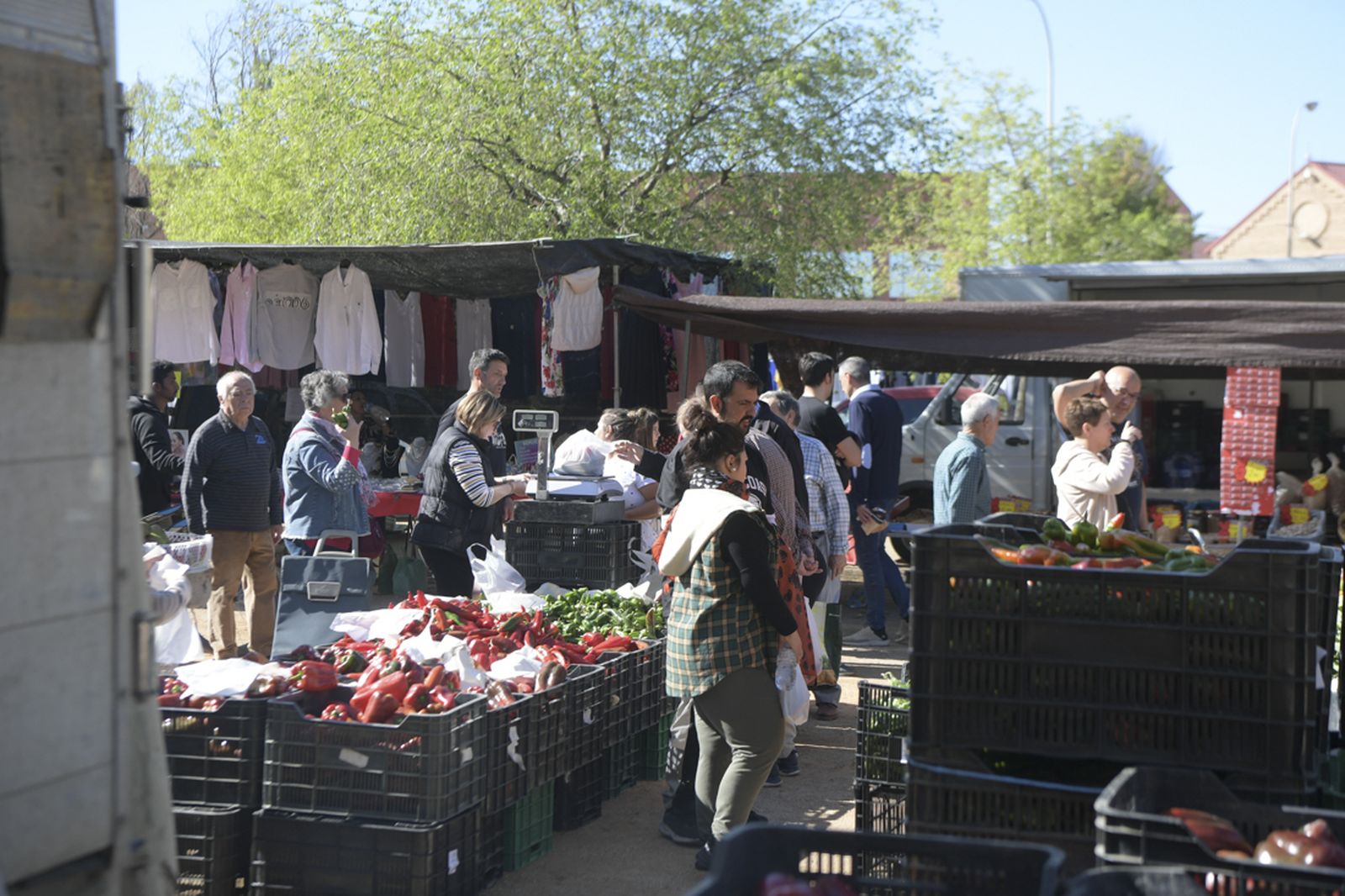 Meradillo, ayer en Baden Powell.