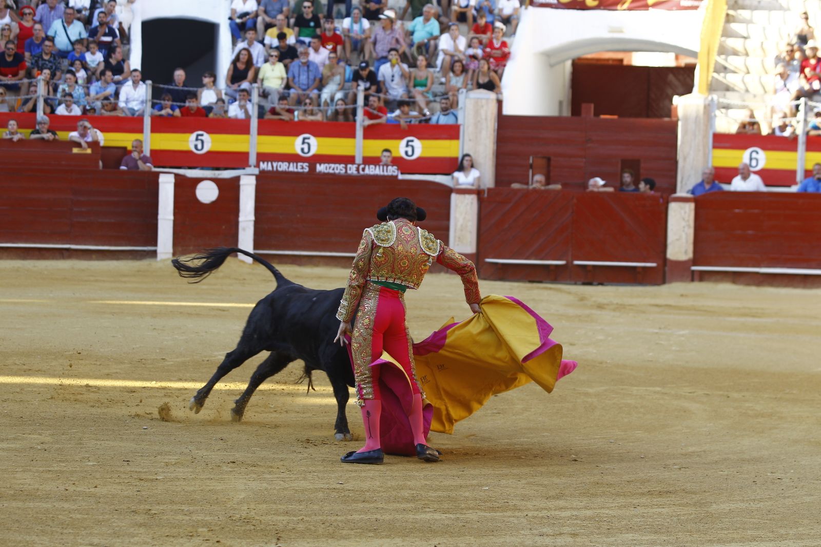 Imágenes de la novillada organizada por la Escuela Taurina de Almería