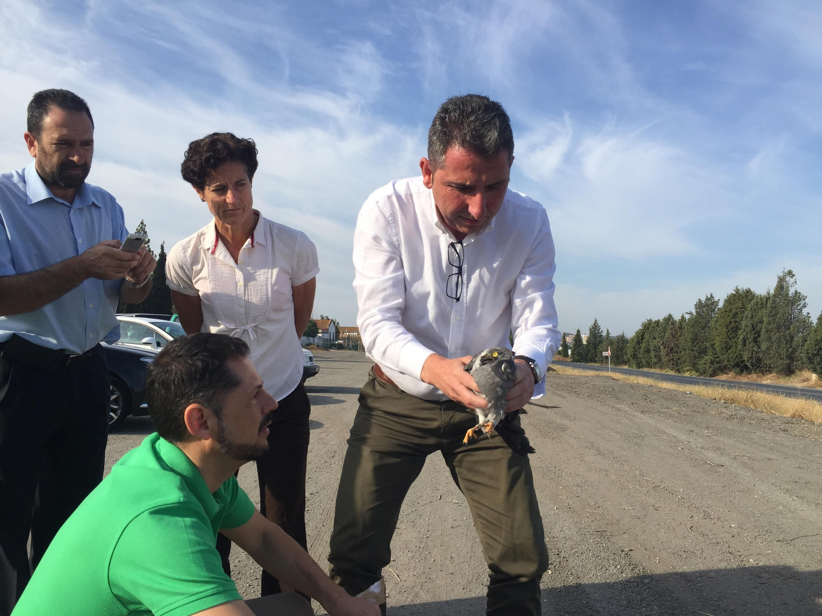 Momento de la suelta del aguilucho cenizo en Huelva