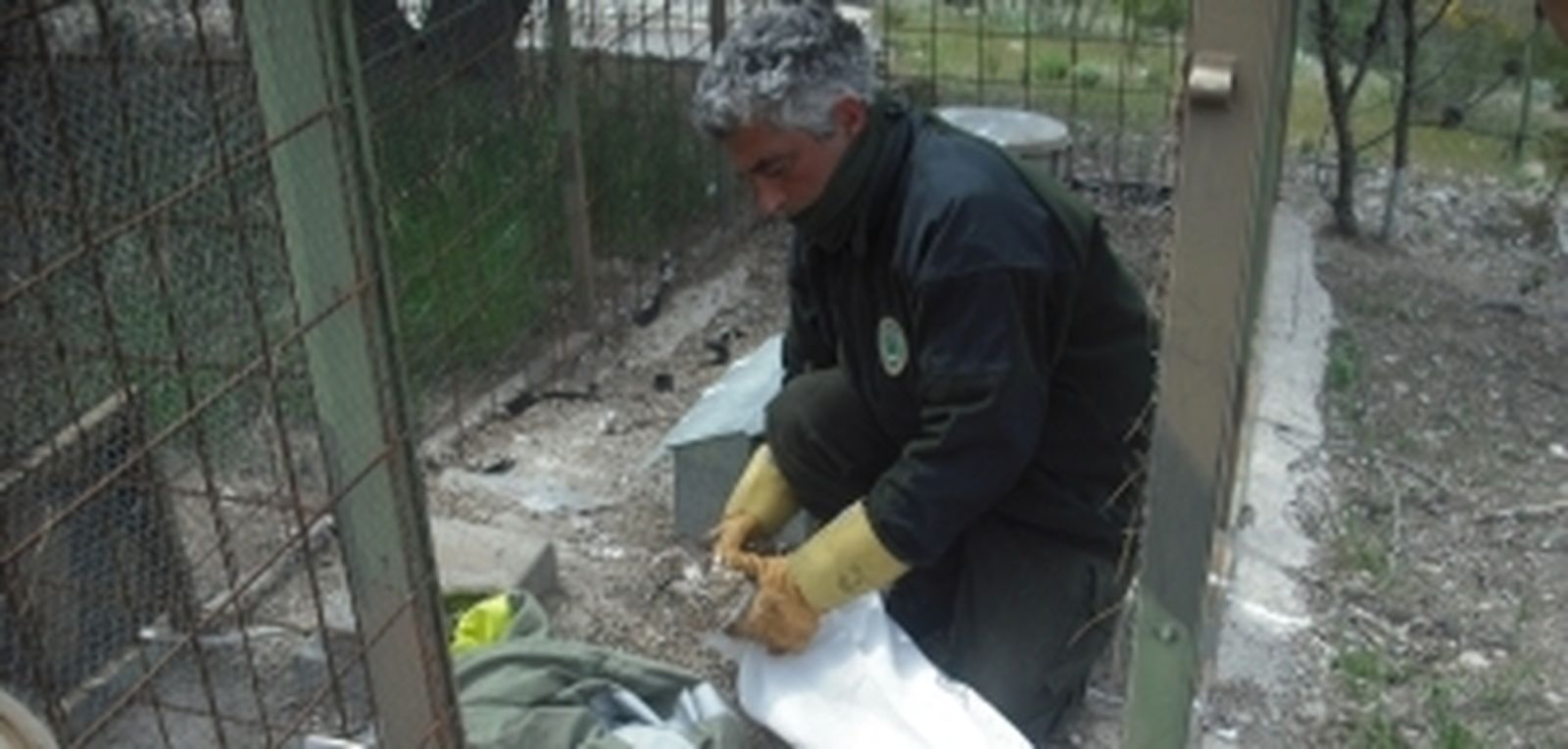 Agentes de Medio Ambiente de la Junta detectan jaulas-trampa para caza ilegal en la sierra de Las Estancias