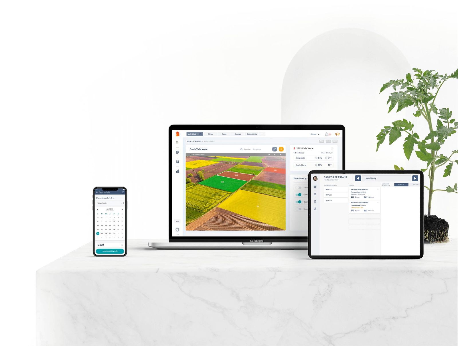 La empresa tecnológica ofrece todo tipo de software que cubren los procesos de precosecha y poscosecha.