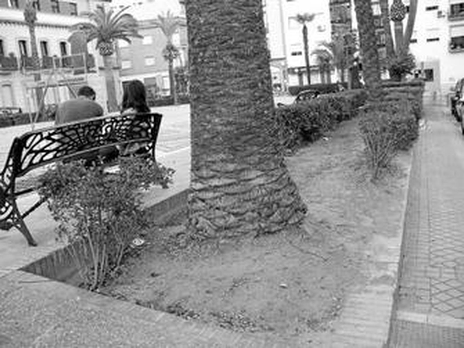 Las calvas de los jardines de San Pedro