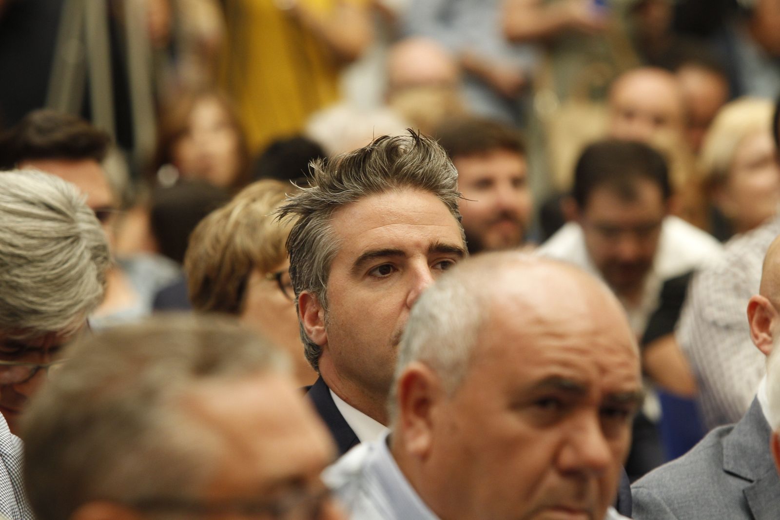 Pleno investidura Presidente Diputación de Almería. Javier Aureliano García