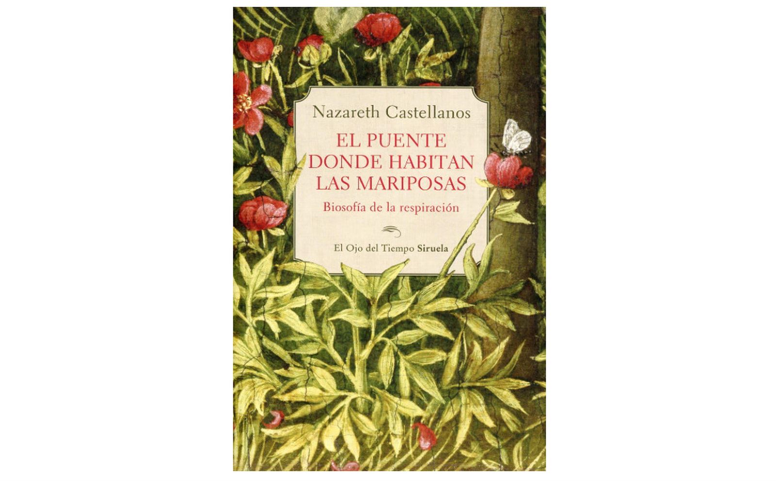 El puente donde habitan las mariposas