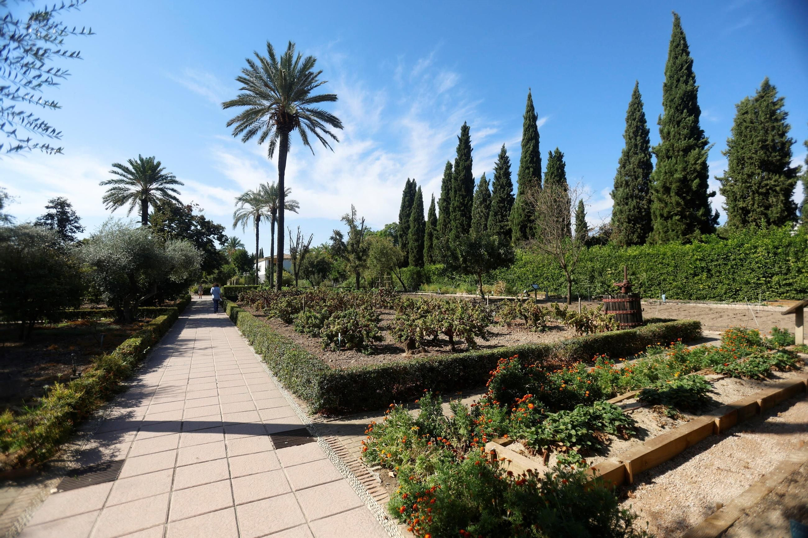 Un paseo en imágenes por el Real Jardín Botánico de Córdoba