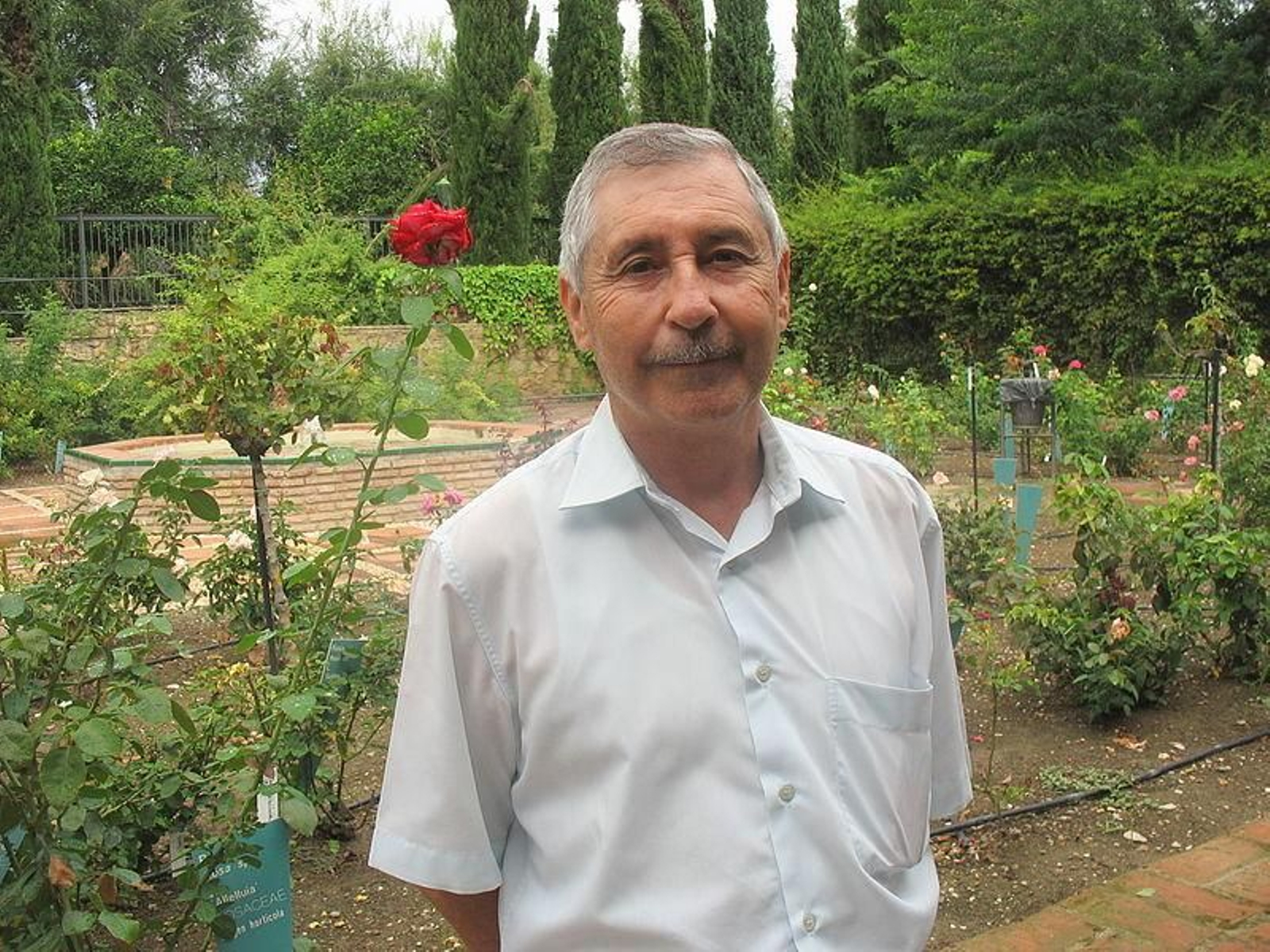 Marcos Antonio Lamolda Palacios.