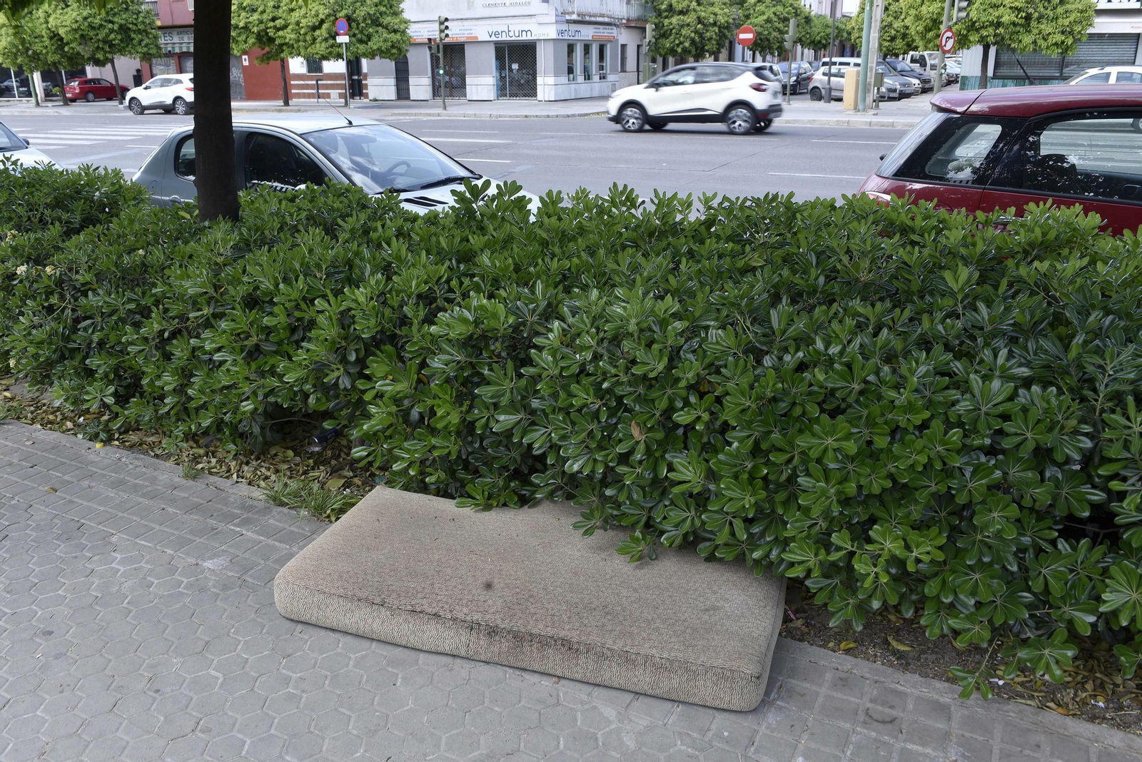 El mal estado de la Ronda del Tamarguillo, en imágenes