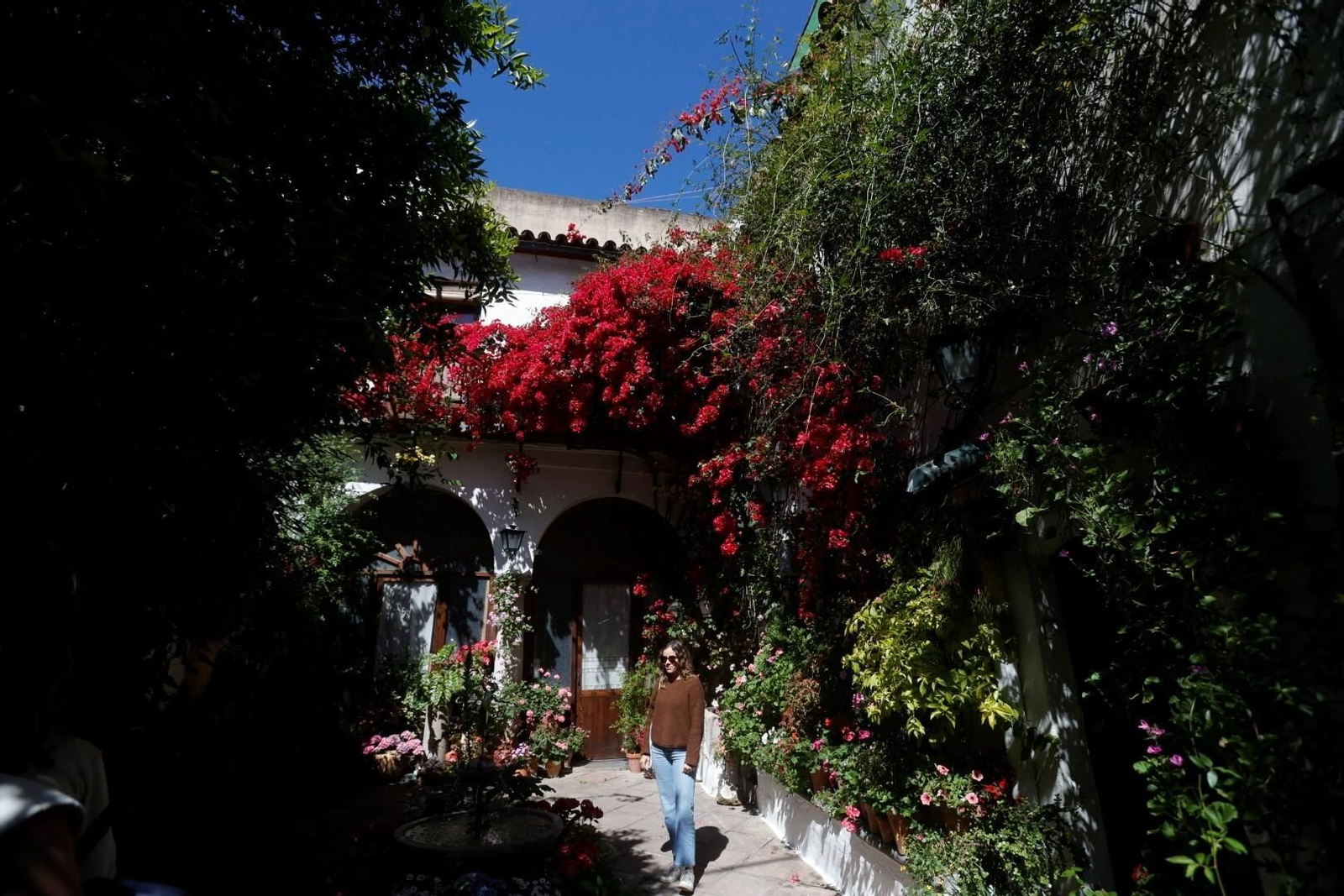 Las mejores imágenes del primer día de Patios en Córdoba