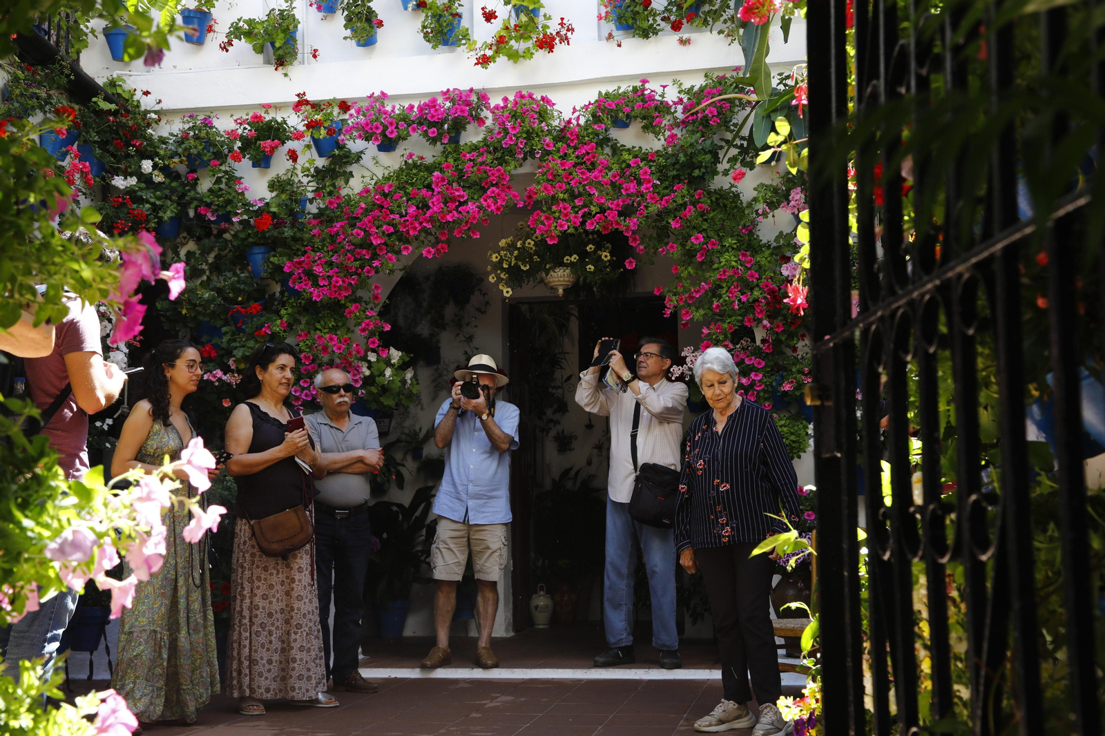 Los Patios de Córdoba se preparan para el fin de semana, en imágenes