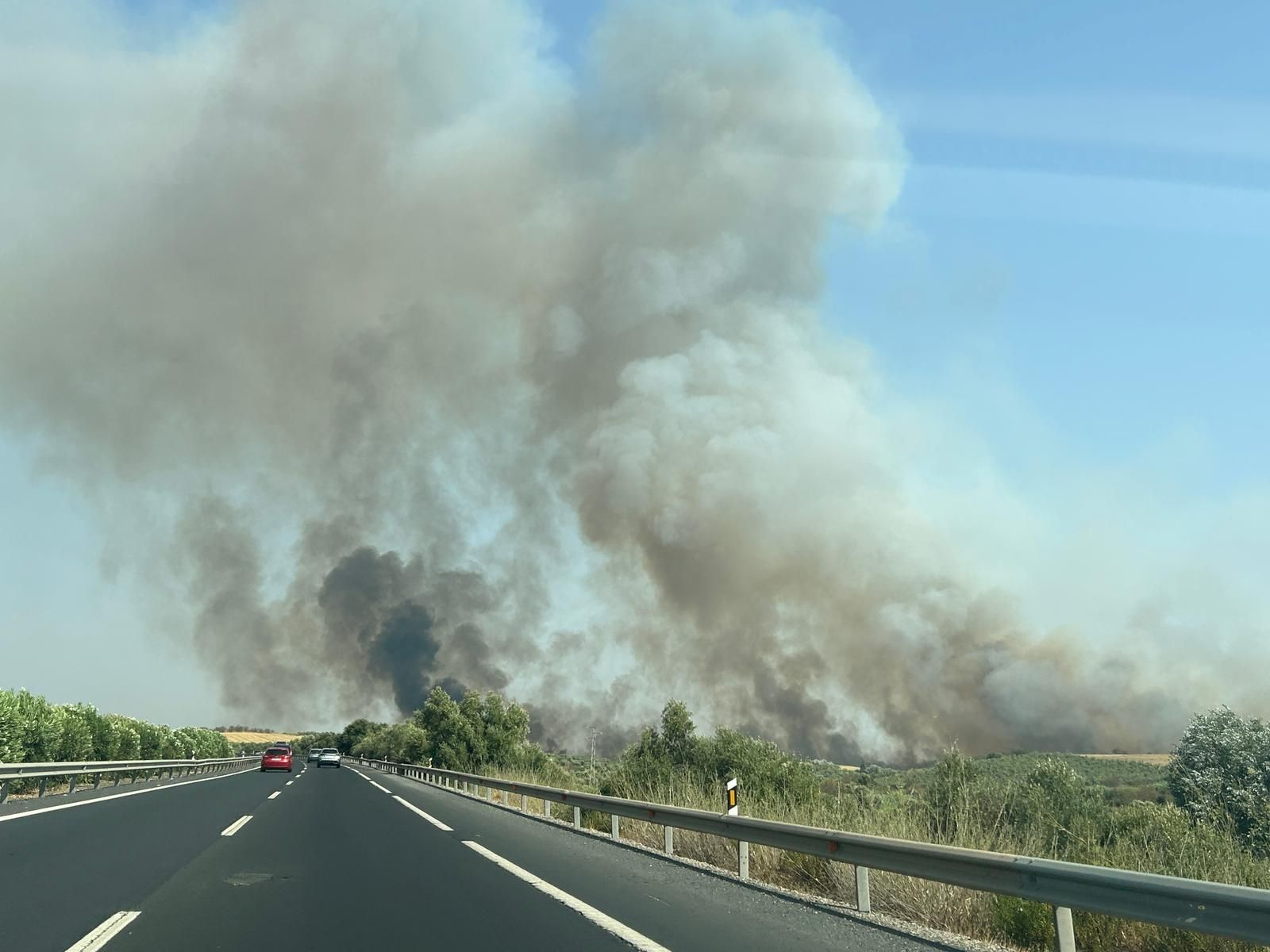 Columna de humo que se ha levantado sobre el entorno de municipio.