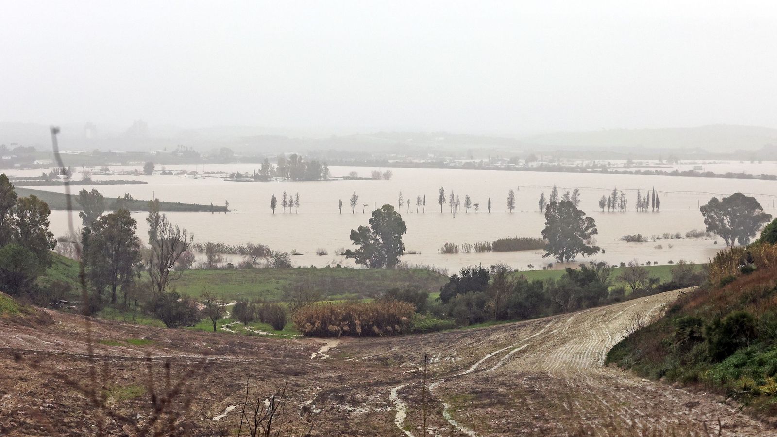 Imágenes del paseo rural por Jerez en el estreno de la borrasca Marta