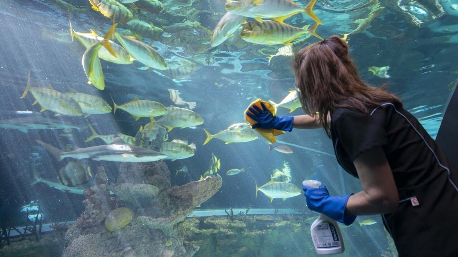 El Parque de las Ciencias se prepara para reabrir.