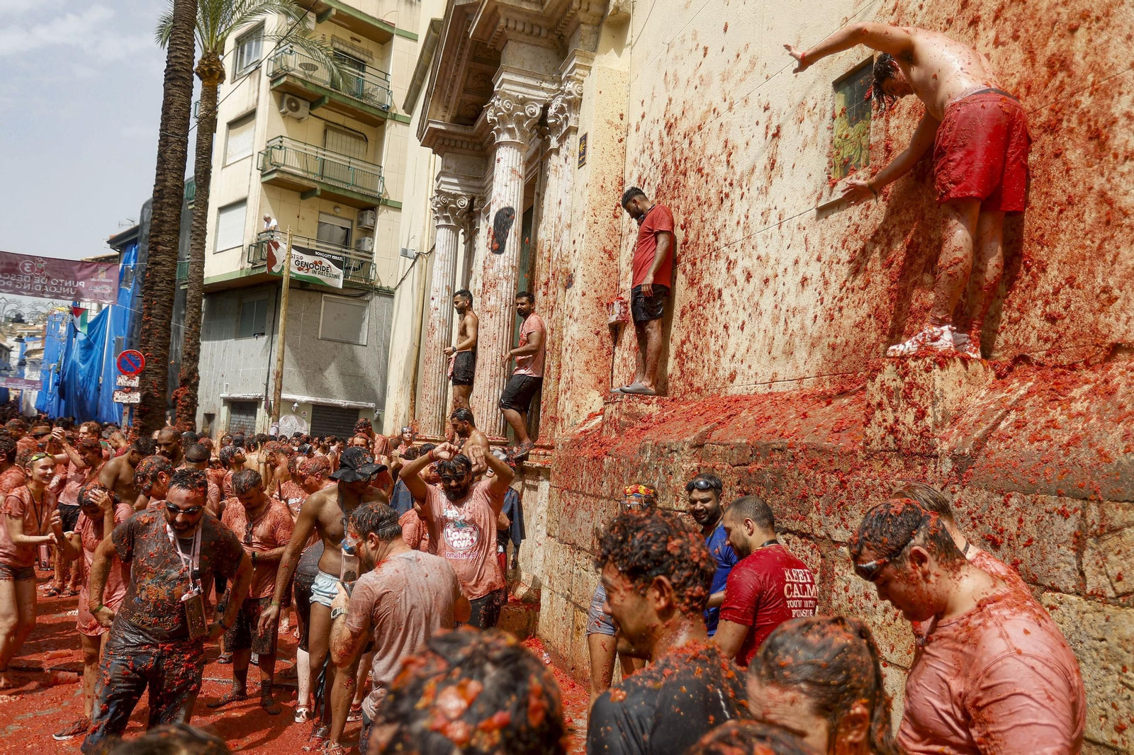 Las mejores fotos de la Tomatina de Buñuel 2025