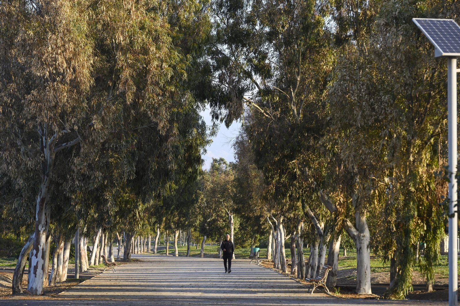 Un hombre recorre el interior del parque del Andarax.