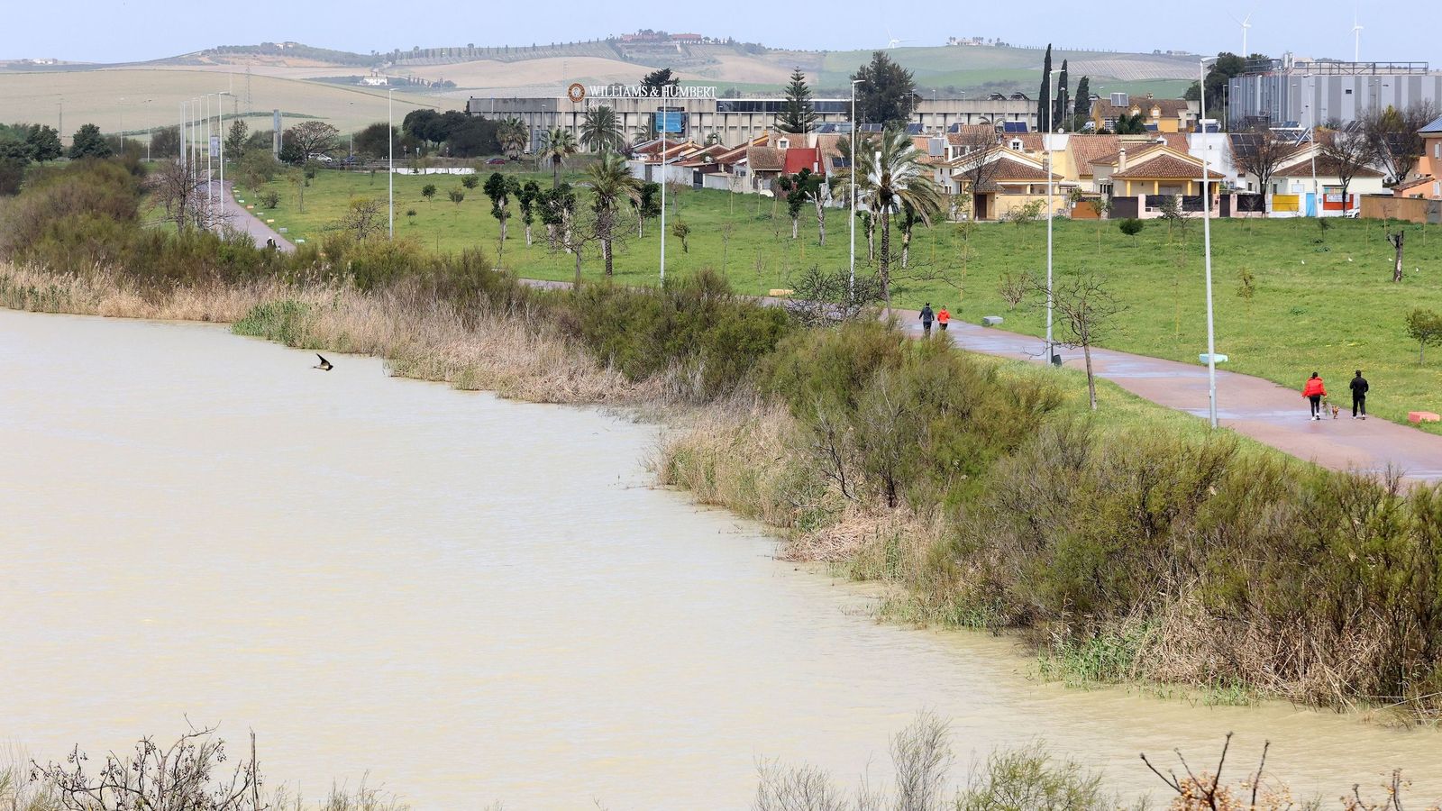 Imagen de la Laguna de Torrox.