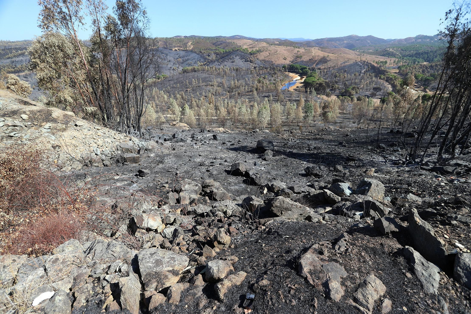Imágenes de las zonas devastadas por el incendio de Almonaster la Real