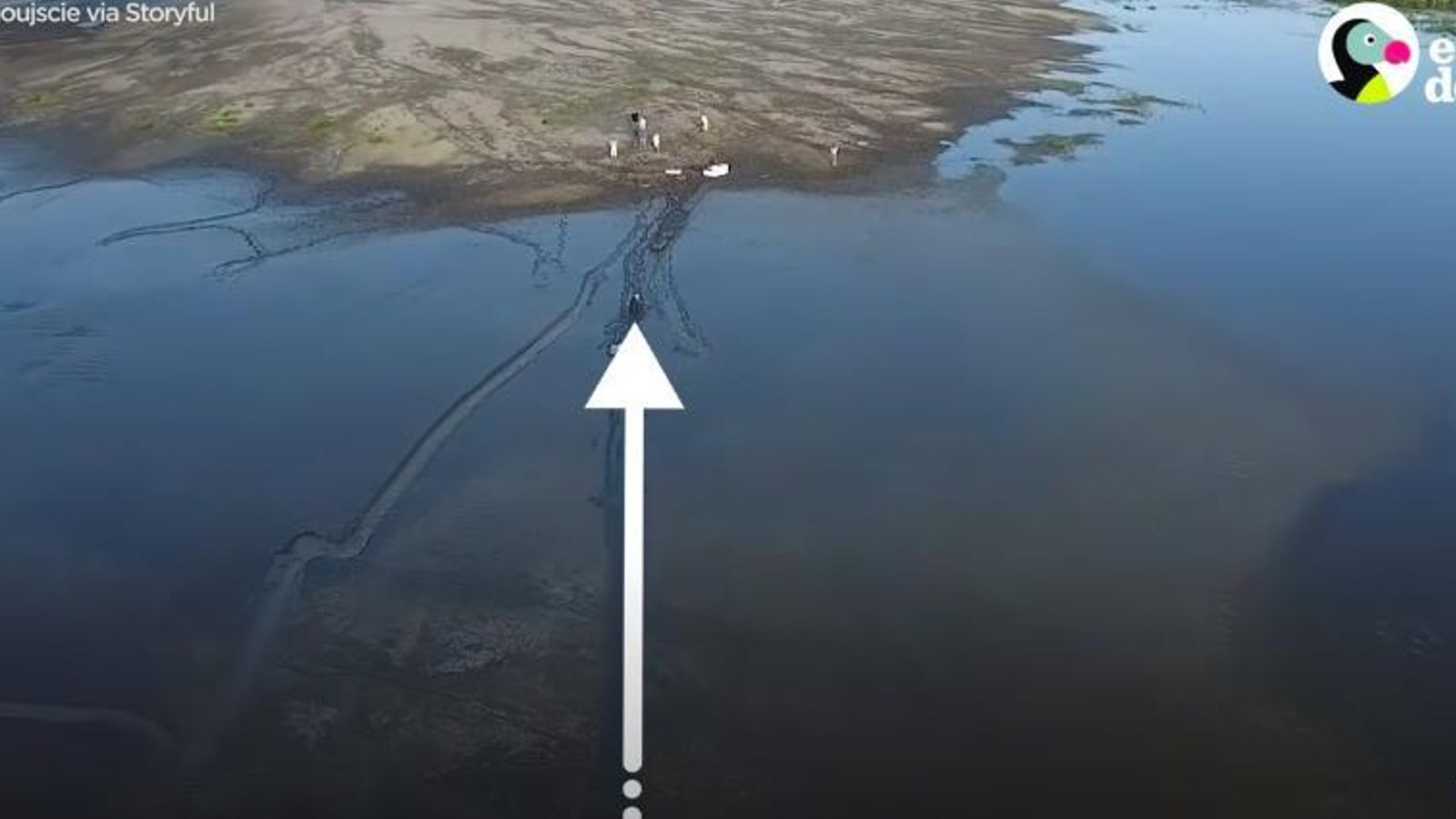 Distancia del lodo a tierra firma