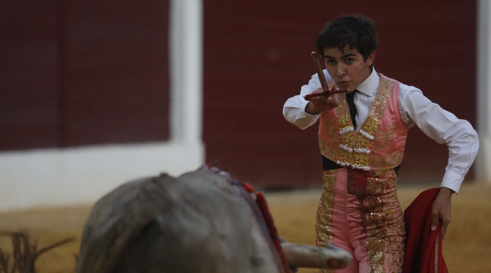 Fotos del triunfo de Manuel Roman y Javier Zulueta con la buena novillada de Núñez de Tarifa que abrió la Feria de La Línea