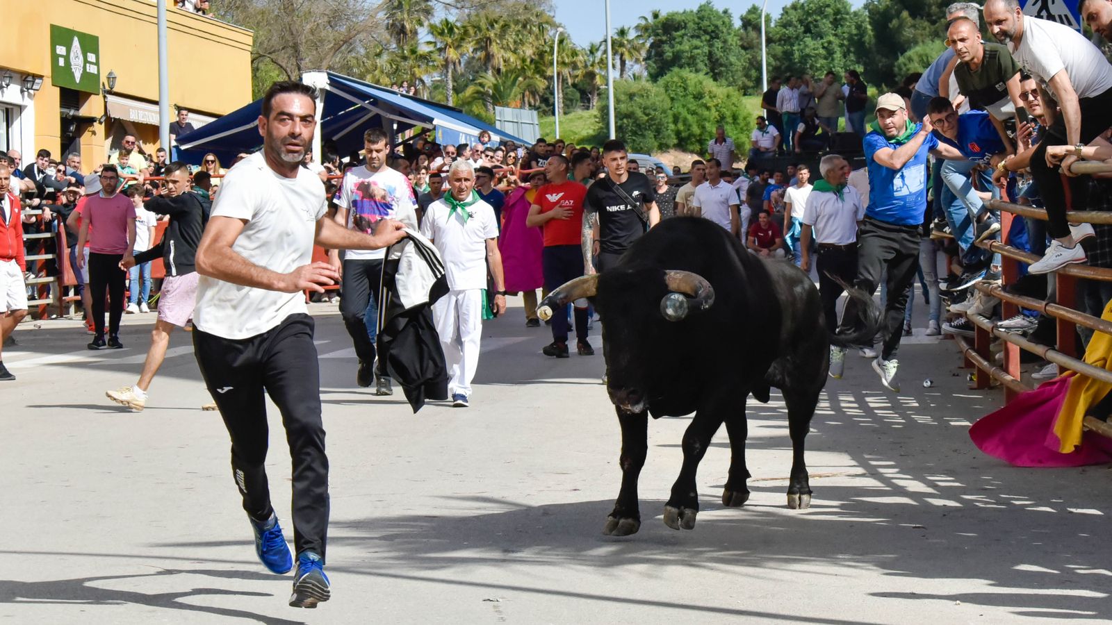 Fotos del encierro del sábado del Toro Embolao en Los Barrios