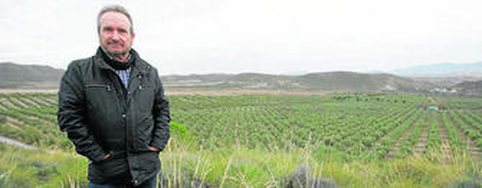 Rafael Alonso, en la parcela familiar de más de 100 hectáreas de olivar.