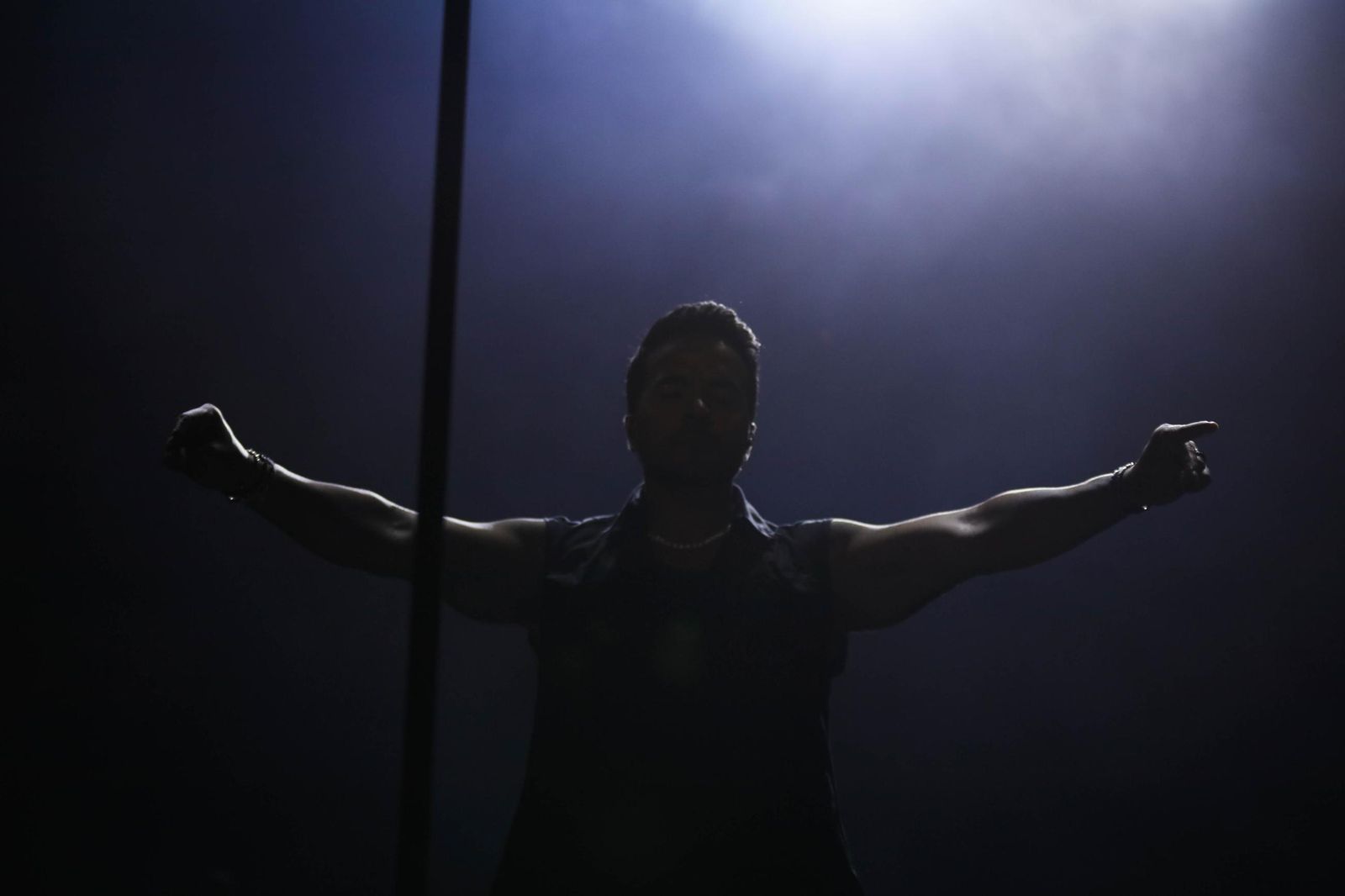 Concierto de Luis Fonsi en Almería