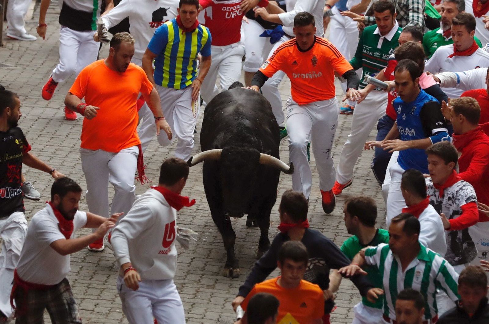 Las imágenes del encierro de los toros de Jandilla