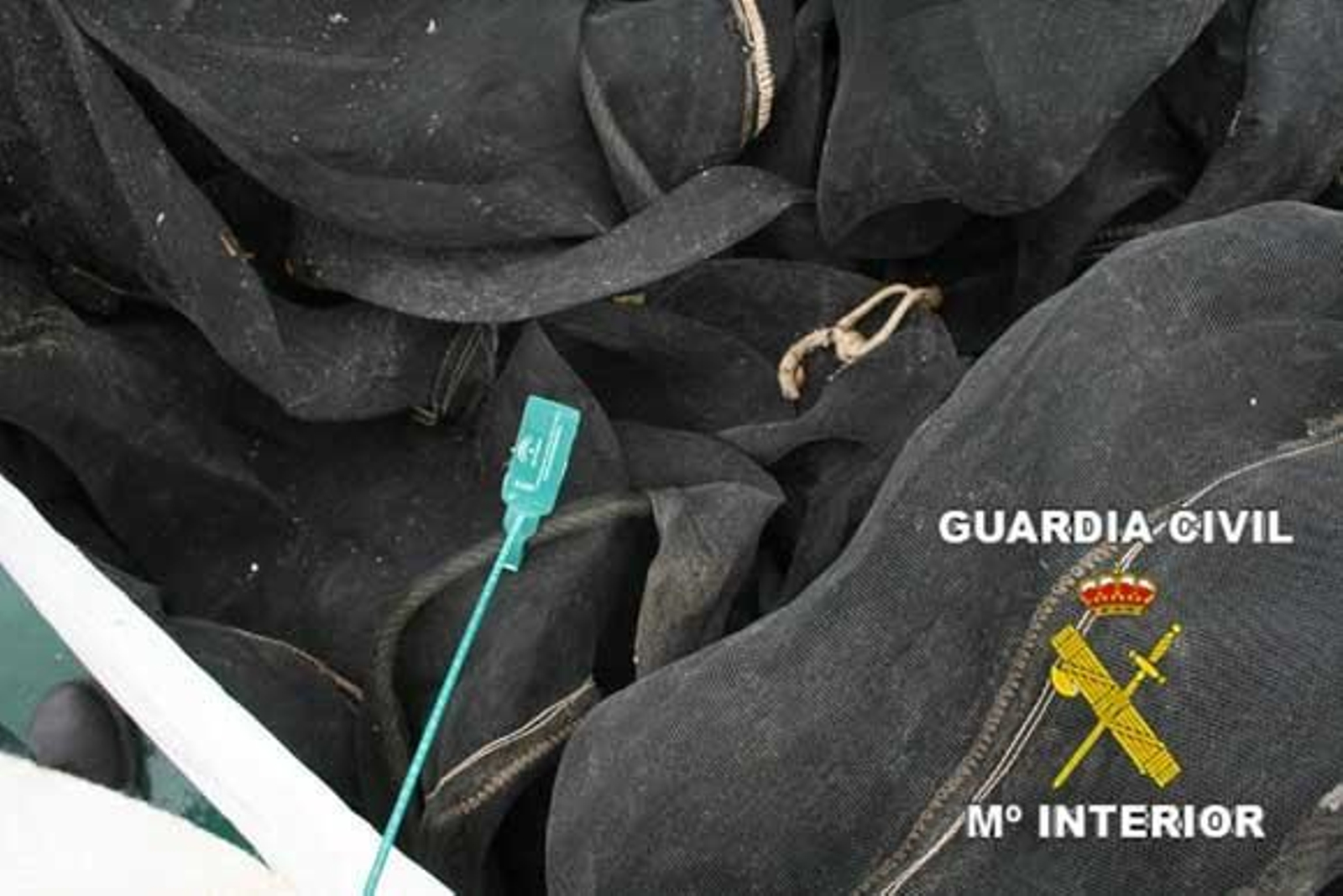 Redes que incumplen la normativa.

Foto: Borja Benjumeda