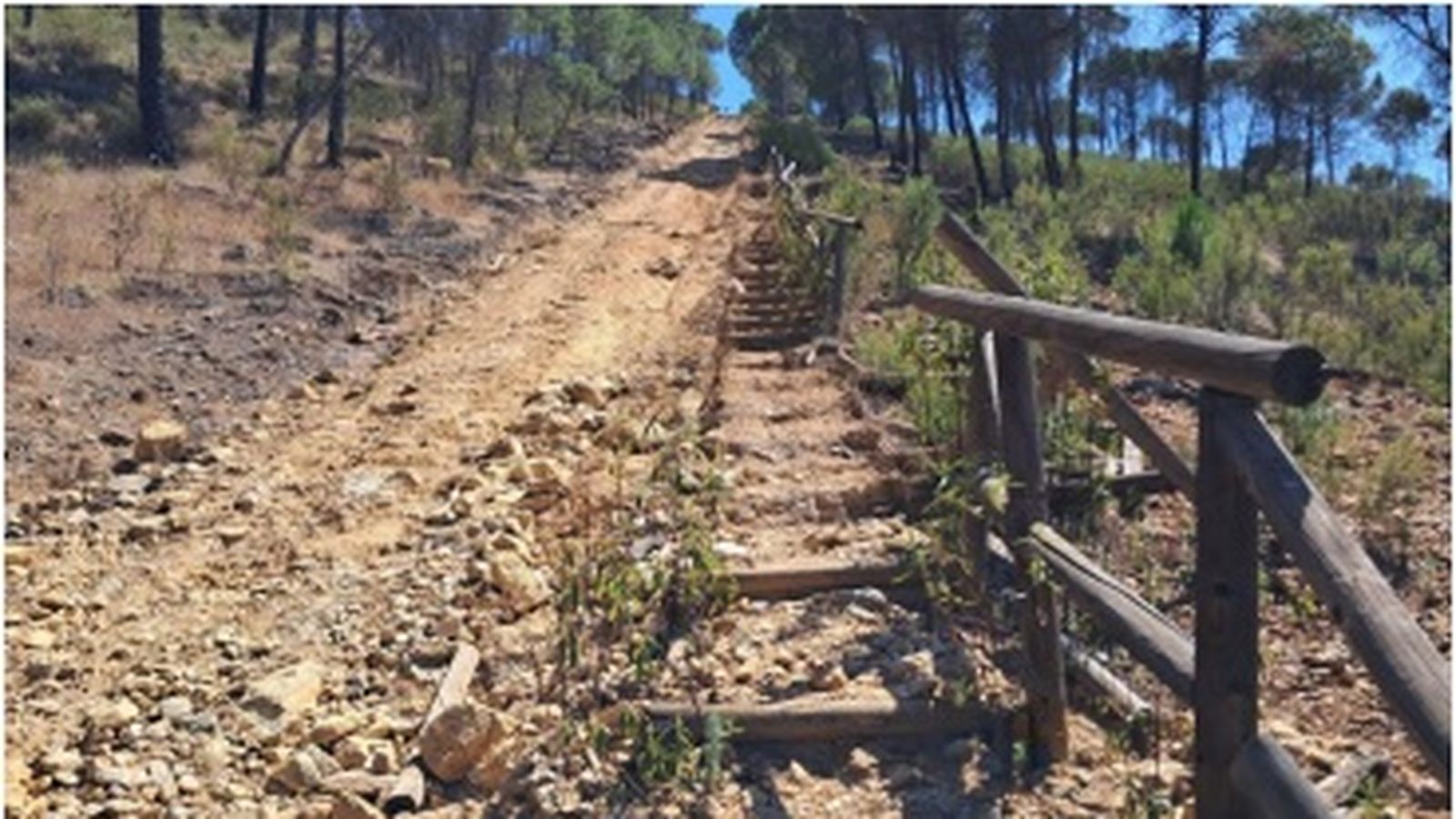 Camino en el que se va a actuar