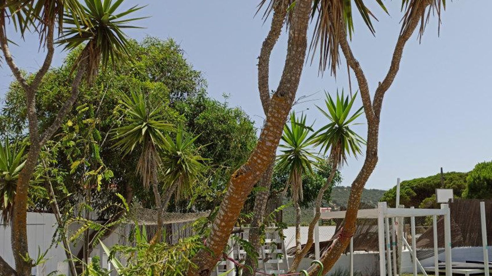 Terraza de Atunaria Trafalgar