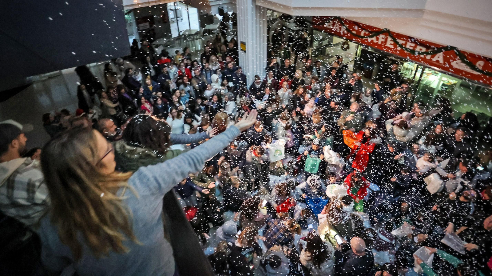 Nieve en el C.C. Los Cisnes de Jerez