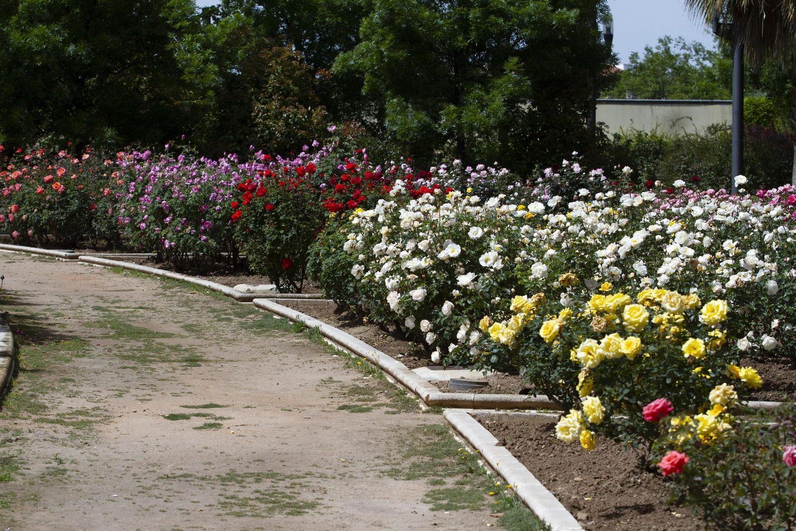 Los parques de Granada, vacíos en pleno estado de alarma