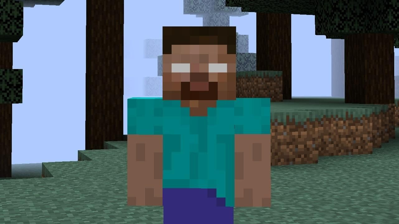 Supuesta imagen de Herobrine