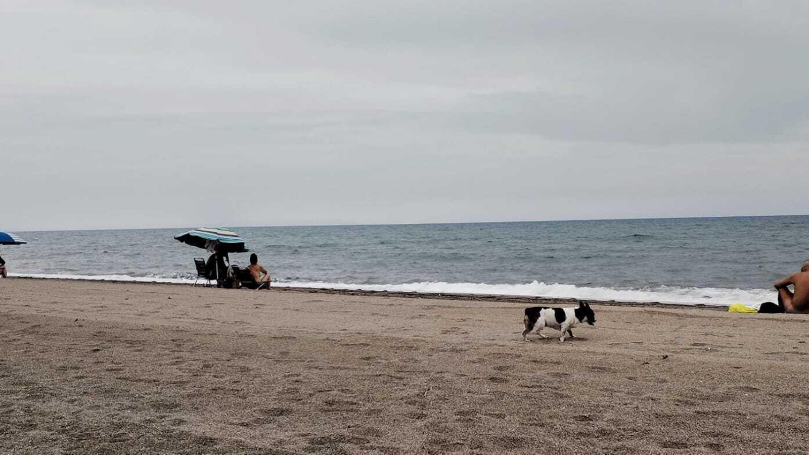 Nudistas y un perro en la playa de Los Cerrillos