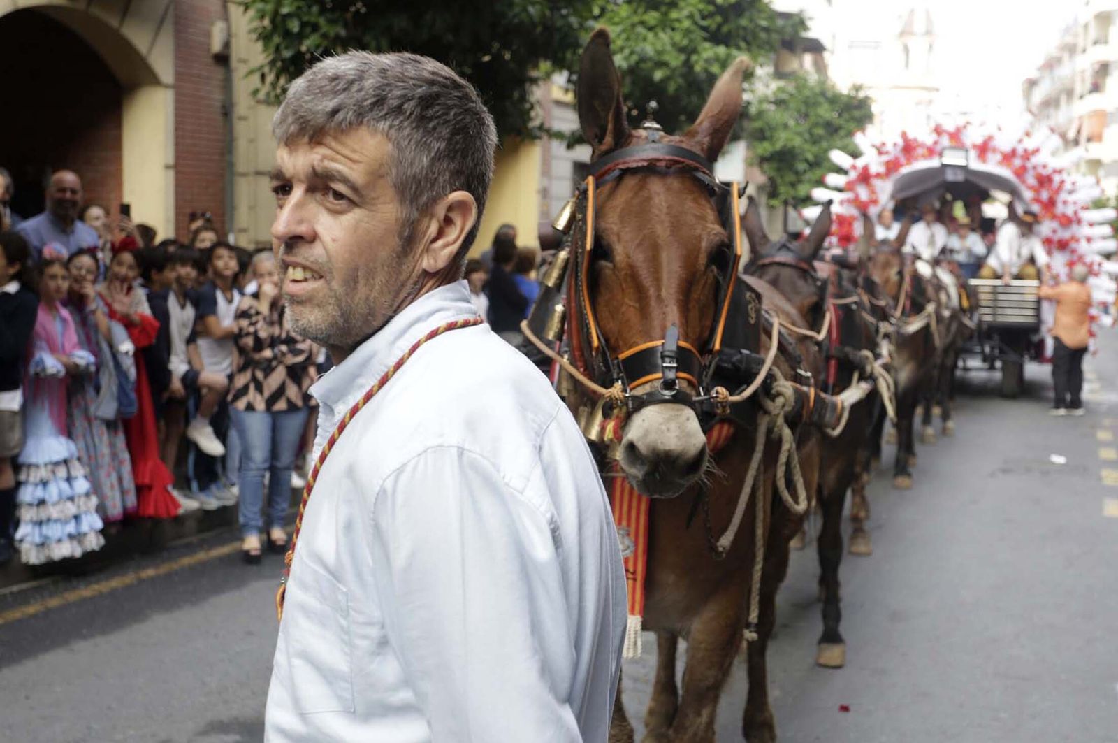 El Rocío 2023: Imágenes de los peregrinos de la Hermandad de Emigrantes