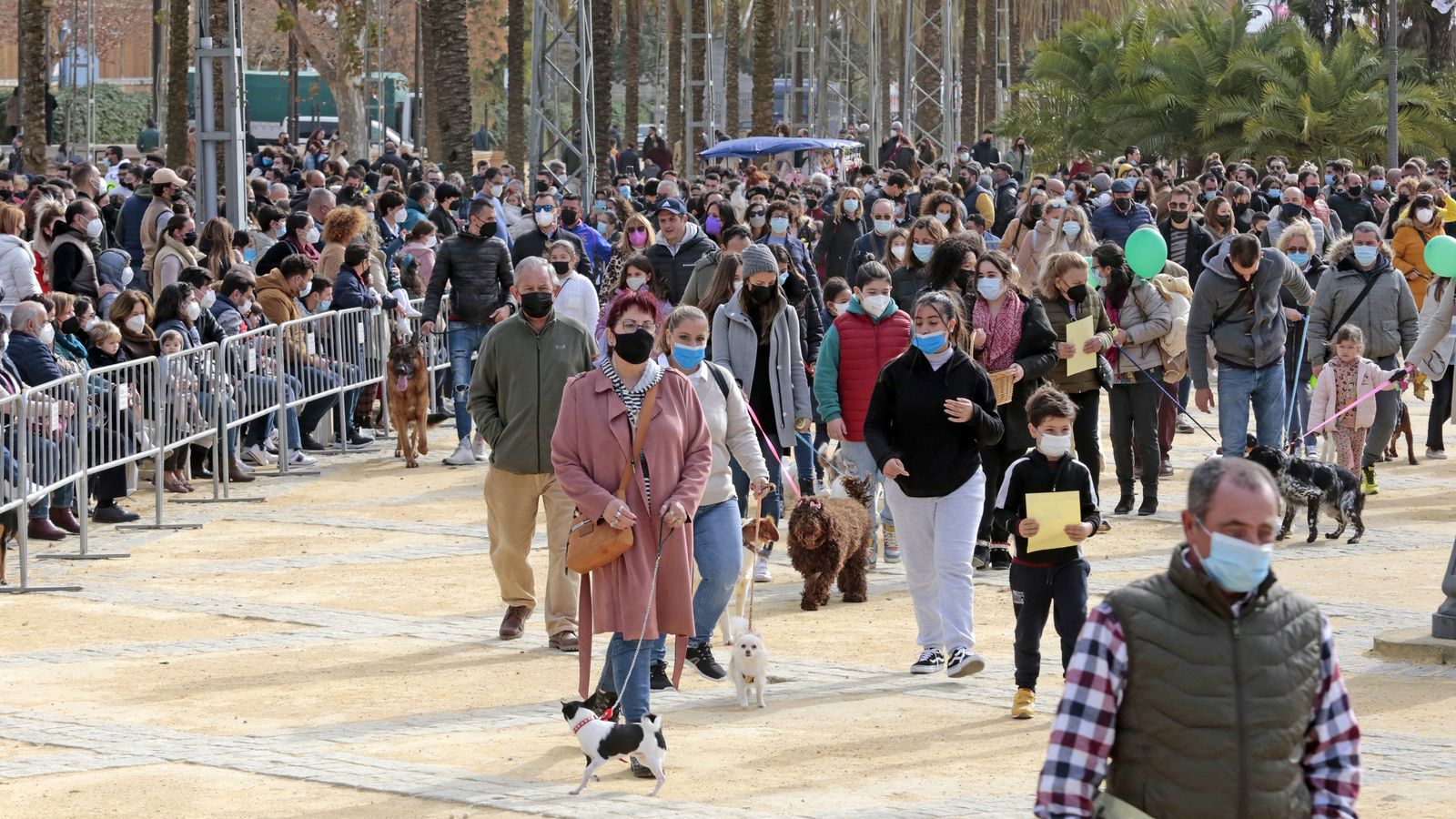 Imágenes de la 'Fiesta de San Antón 2022'