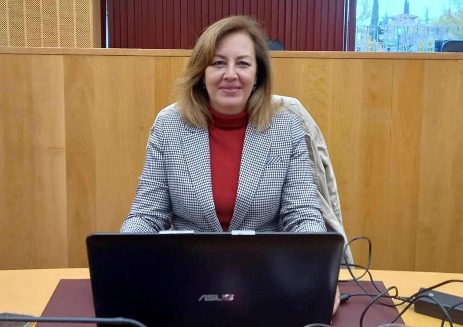 Costa de Granada: Vox critica la oposición del PSOE  de agilizar la obra de la carretera entre Sorvilán y Los Yesos