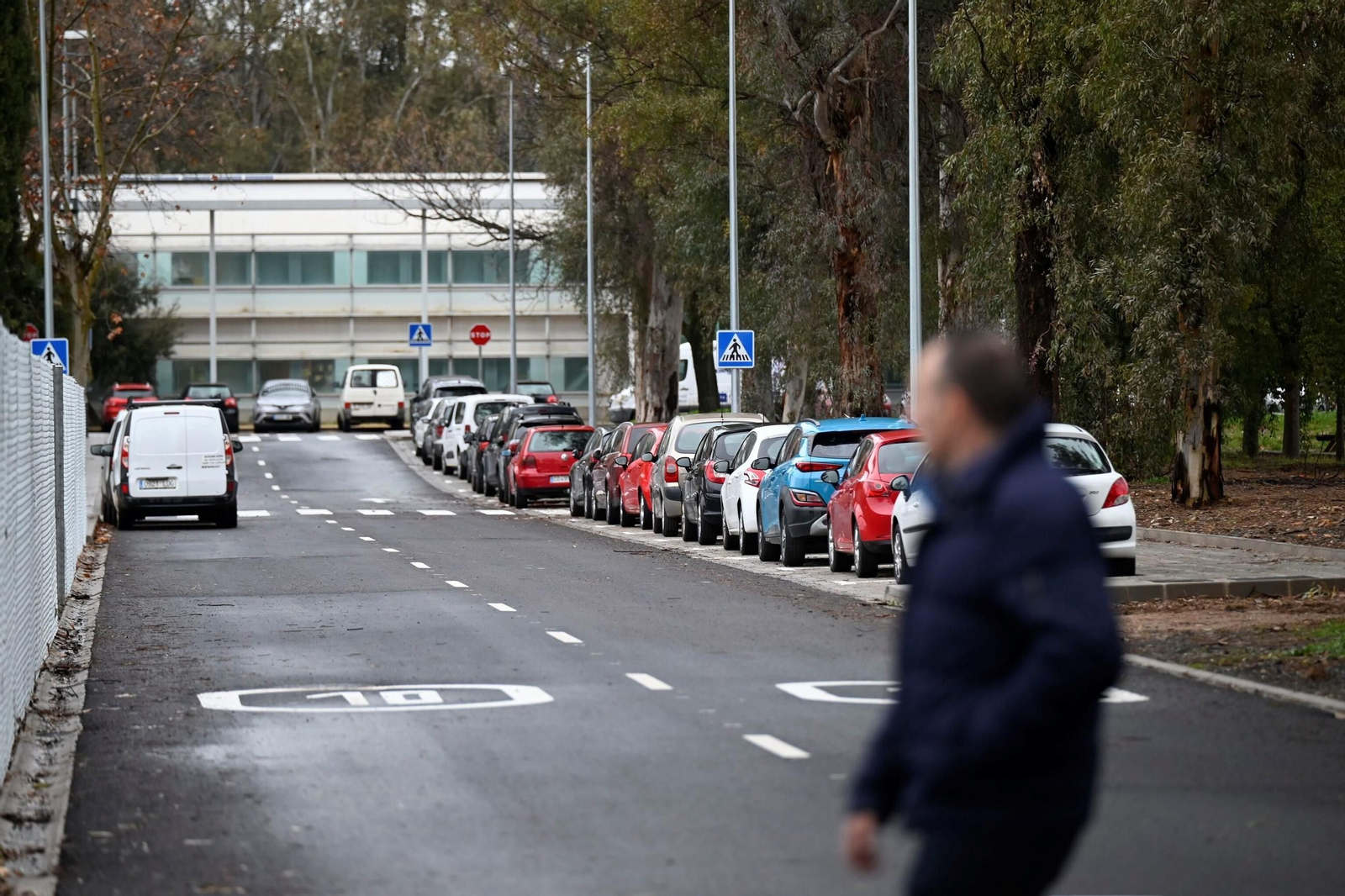La fase 1A de reurbanización del Campus de Rabanales, en imágenes