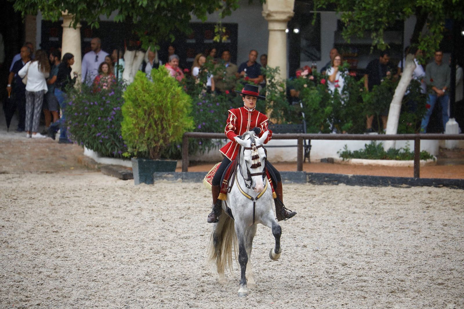 La celebración de la VI Copa de España de Alta Escuela en Córdoba, en imágenes