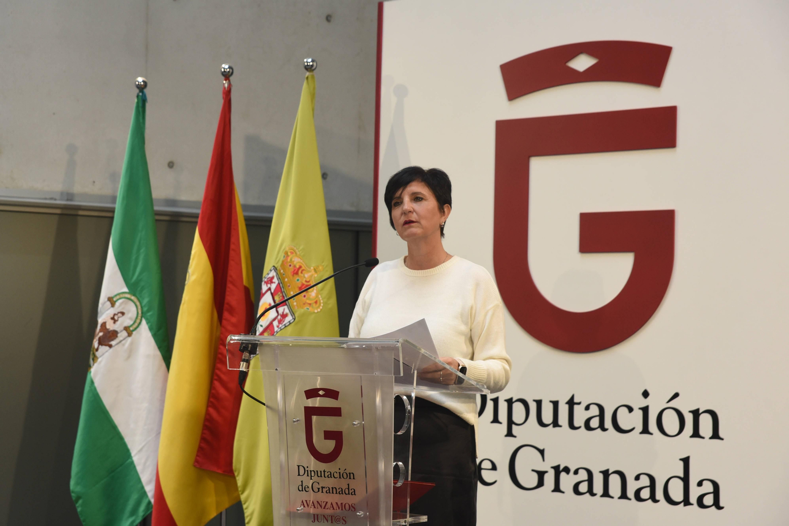 Diputada de Igualdad, Juventud y Administración Electrónica, Mercedes Garzón