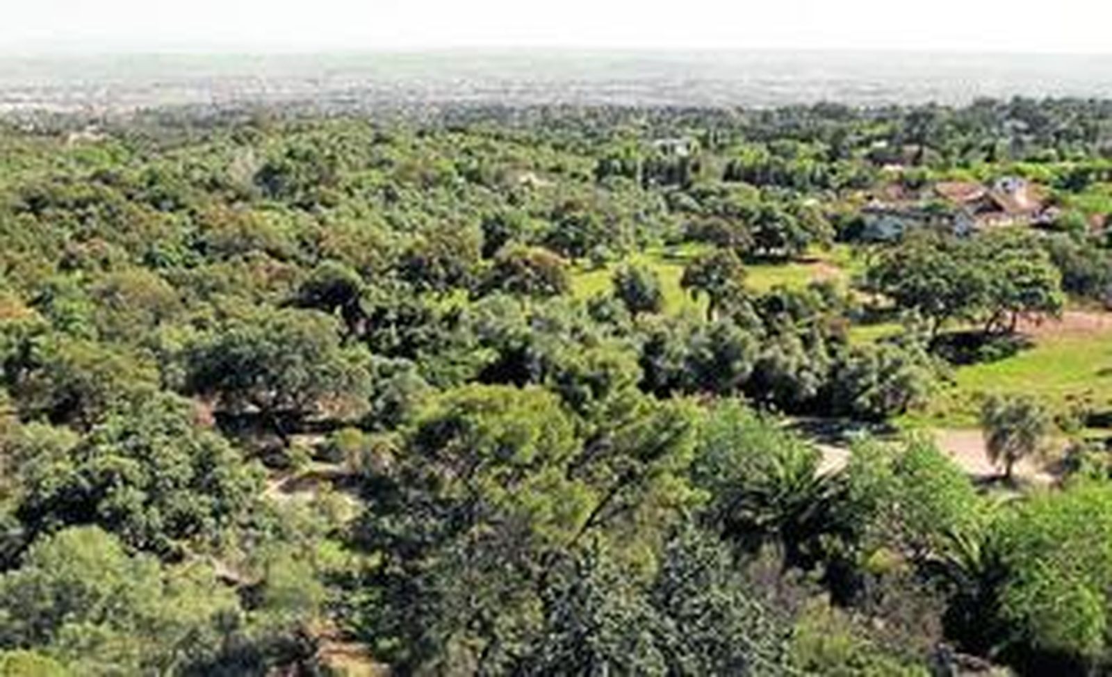 Vista de la Sierra de Córdoba con una panorámica de la capital al fondo.
