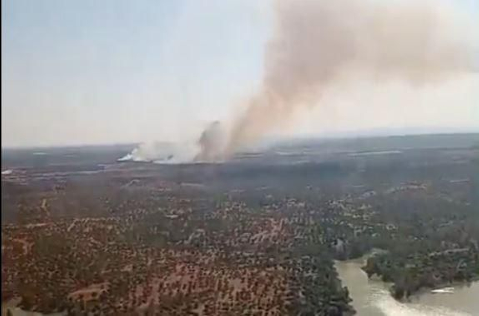 Columna de humo originada por el incendio en Lepe.
