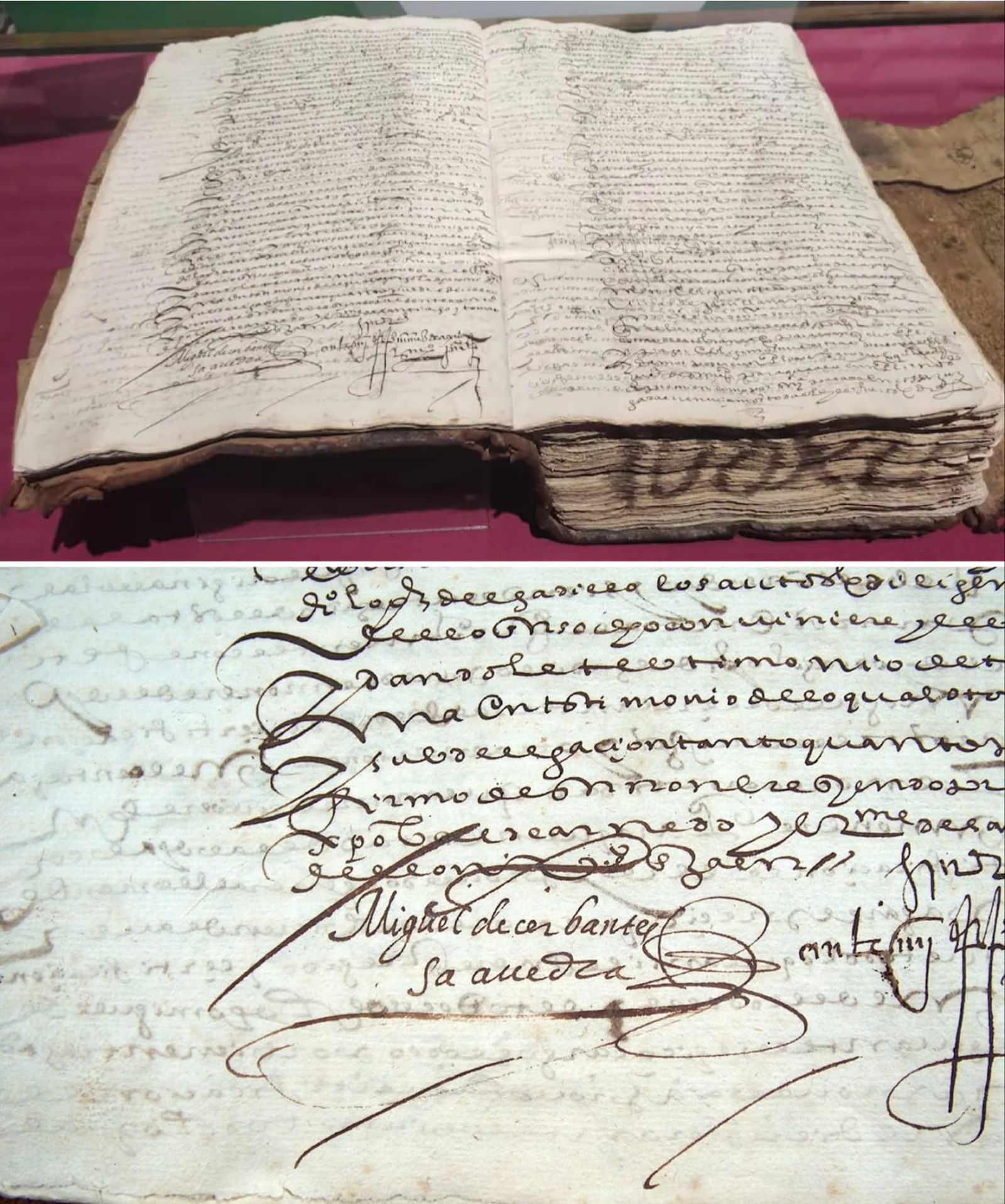 Firma de Miguel de Cervantes Saavedra en un documento suscrito en la ciudad de Jaén, marzo de 1592. Archivo Histórico Provincial de Jaén.
