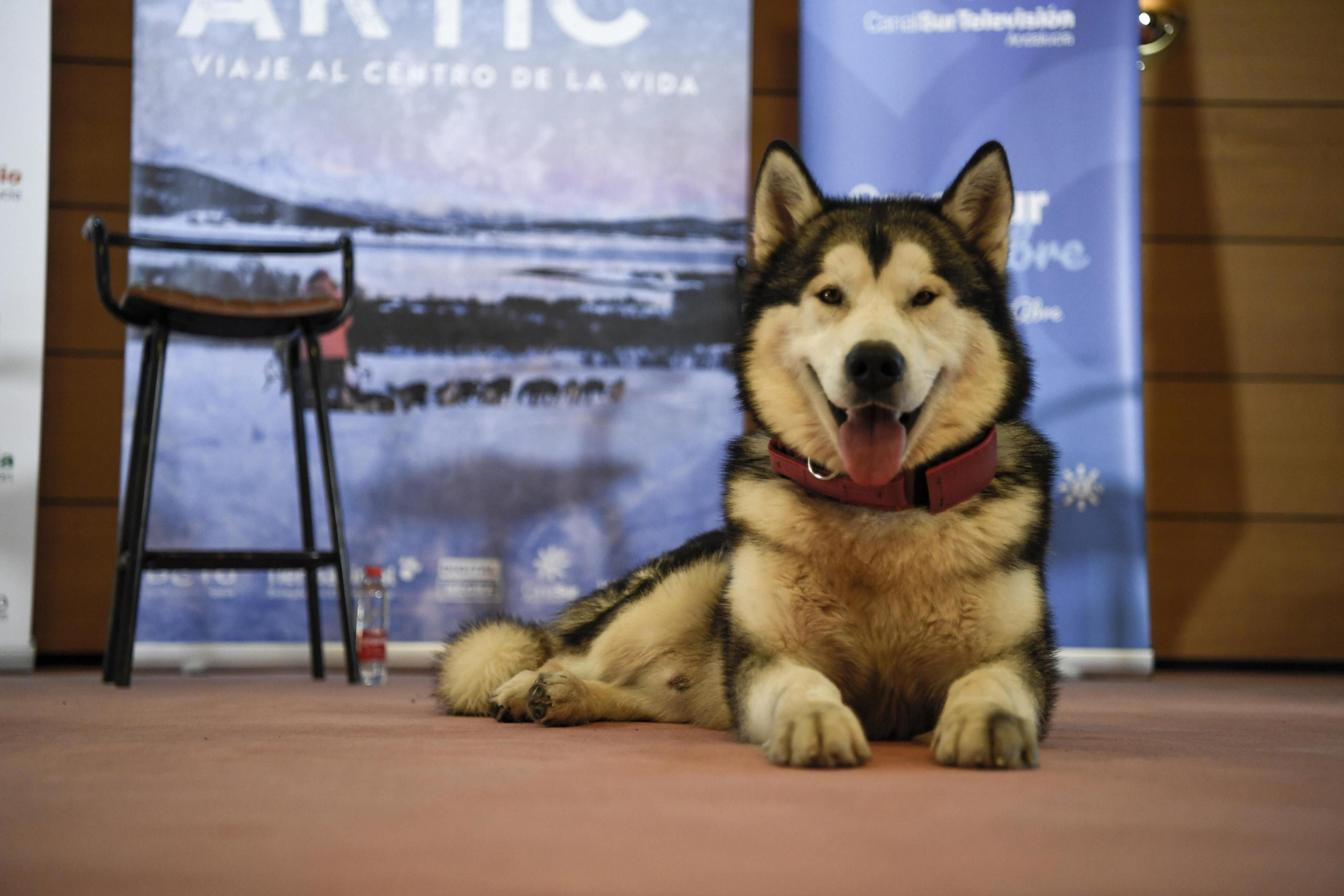 Fotos de 'Desafío Ártico' en Granada, Desafío Ártico', docuserie sobre una expedición al Polo Norte