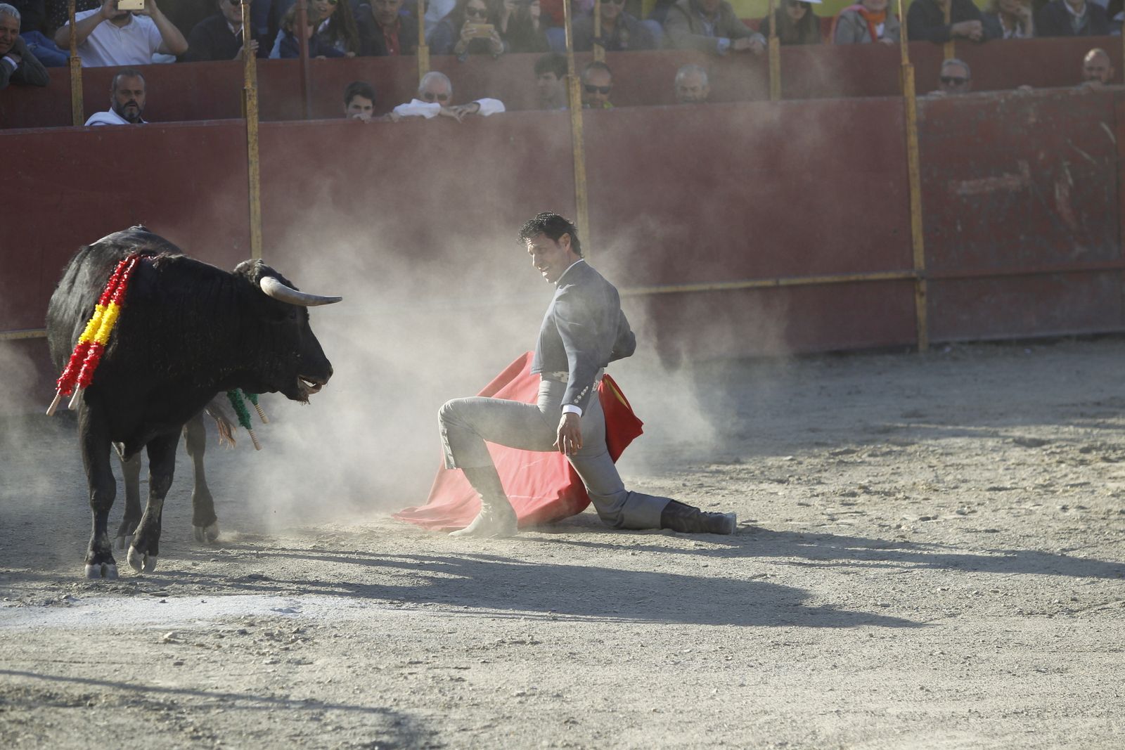 Fotogalería Festival Taurino Mixto. Fiestas de Abrucena.