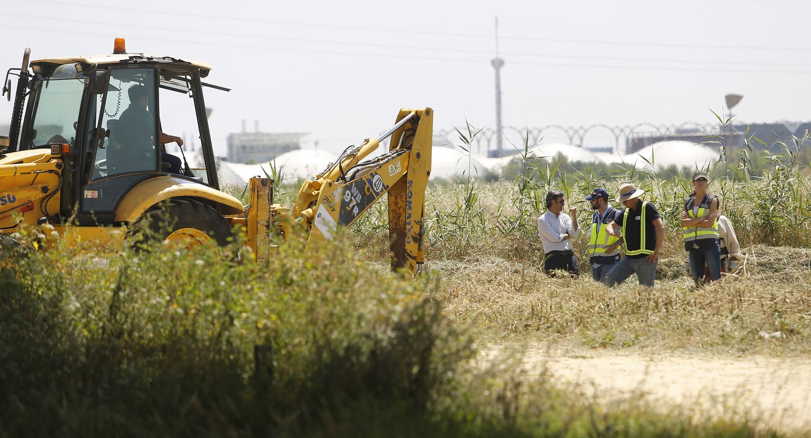 La búsqueda de Marta del Castillo bajo el puente del Alamillo, en imágenes