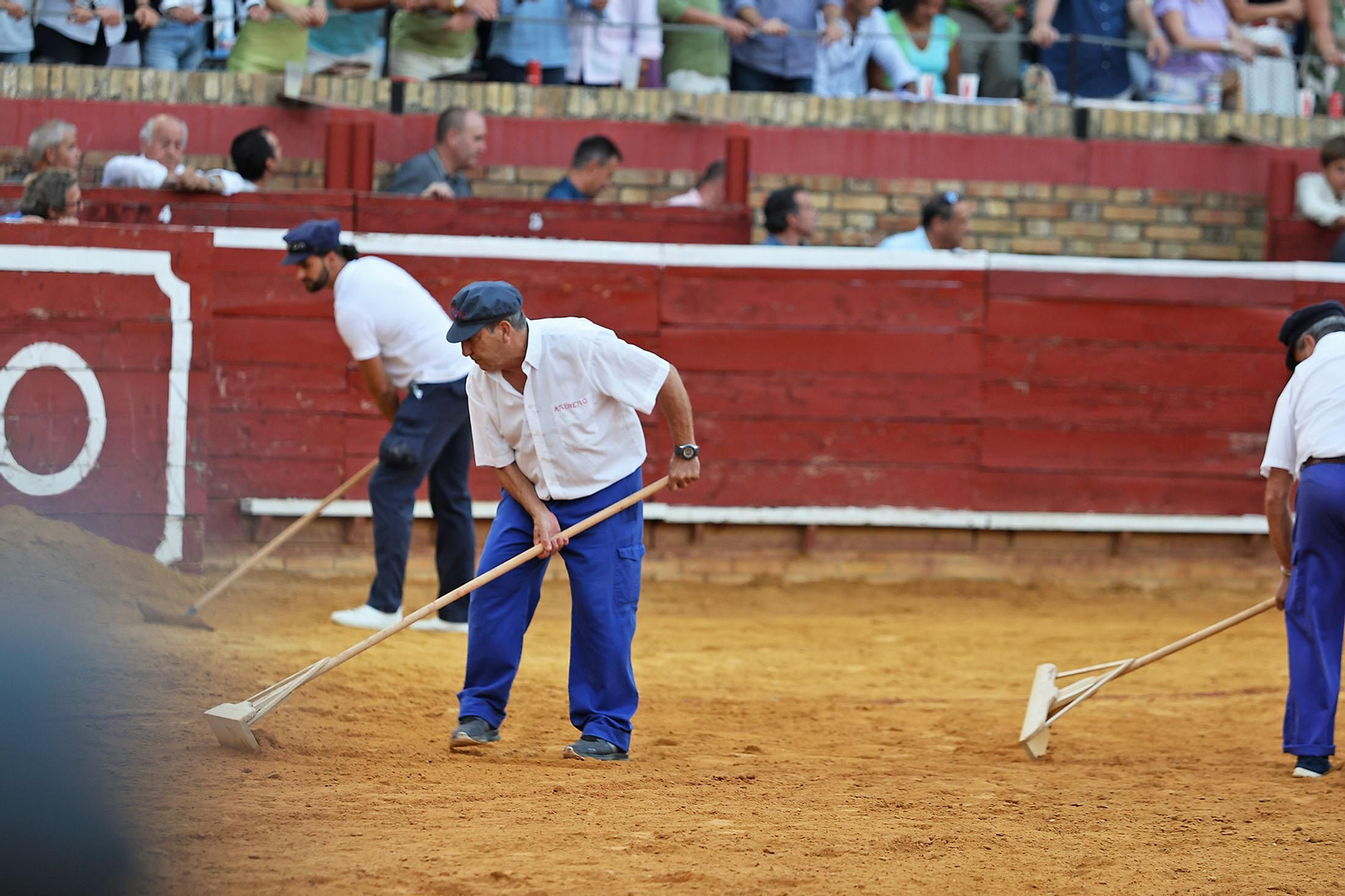 Toros La Merced 2024 Novillada con picadores(
