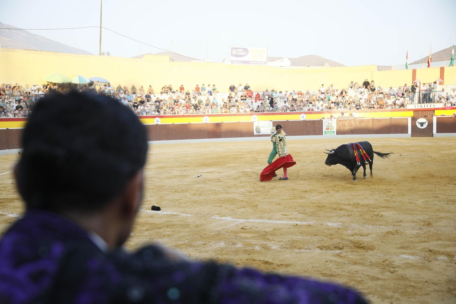 Corrida de toros Berja con un toro indultado, en imágenes