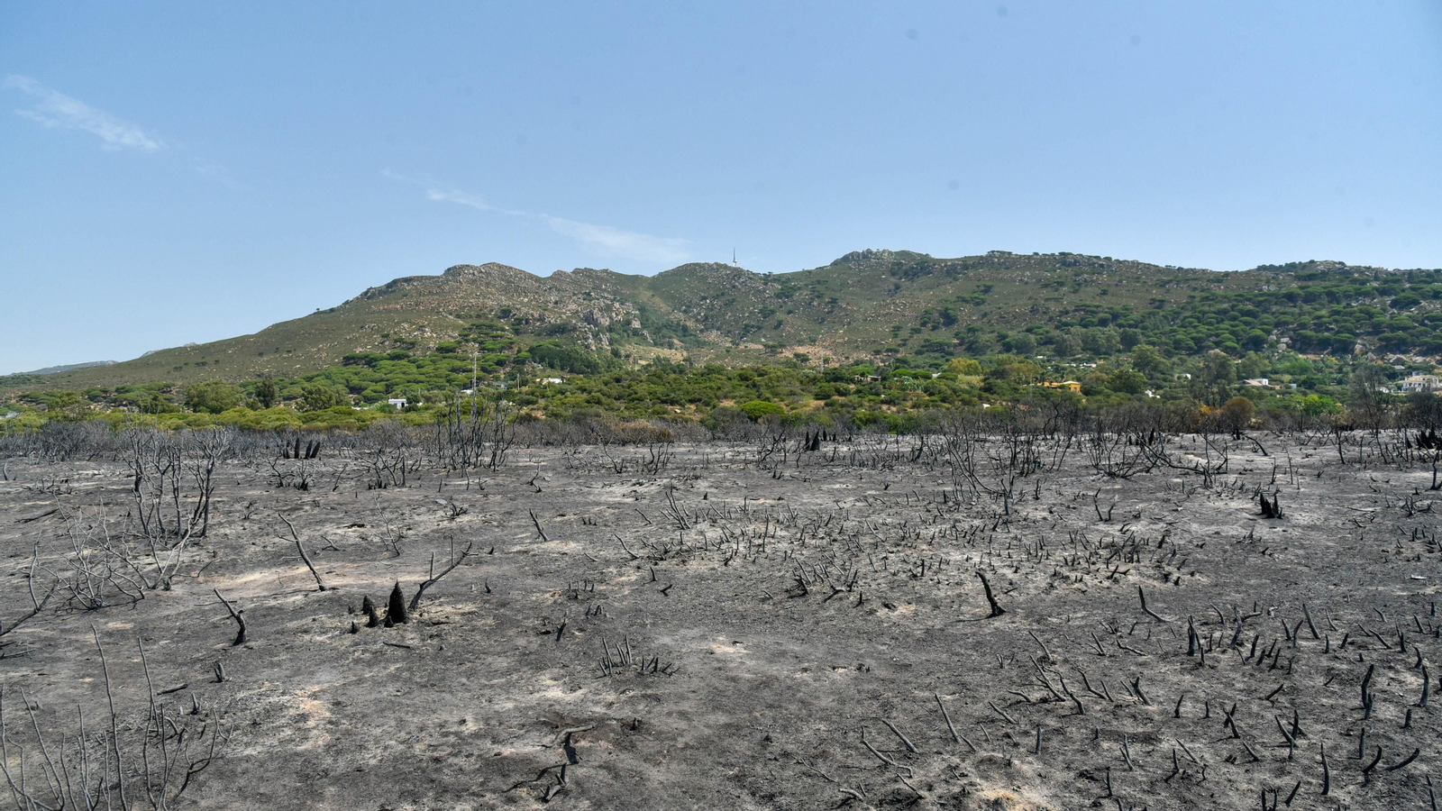 Las fotos de la zona afectada por el incendio de Valdevaqueros Las fotos de la zona afectada por el incendio de Valdevaqueros
